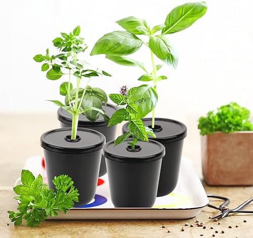 Kratky Method Hydroponic Planter Kit, 8 Hydroponic Planter Plus 24 Growing Sponges for Herbs, Hydroponic Mini Buckets for Windowsill Herb Garden, Hydroponic Growing System for Vegetables (Black)