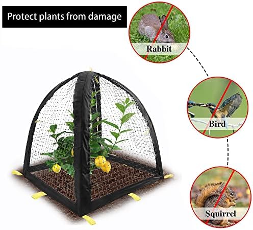 2PCS Pest Guard Cover-22 x 22 x 23 Inch Mesh Plant Cover for Pests-Garden Plants Cloche Tent for Protect Plants Vegetables Fruits Shrubs from Squirrel Animal Eating