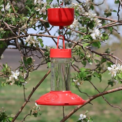 Songbird Essentials Nectar Protector Junior Bird Feeder Protection - Red