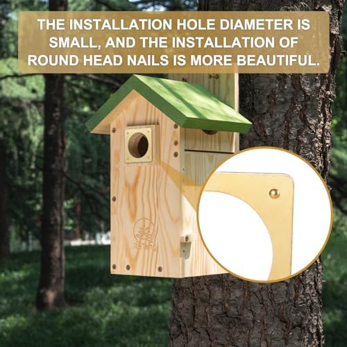 Solid Brass Bird House Hole Protector, Predator Guard Plate, 1 Pack