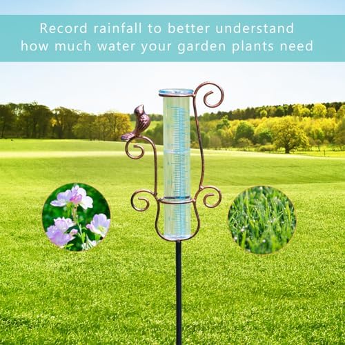 Rain Gauge Outdoor with 7'' Capacity Glass Tube
