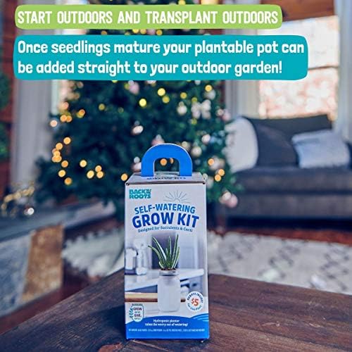 Back to the Roots Self Watering Grow Kit - Glass Hydroponic Planters for Succulents and Cacti Self-Watering System (Pack of 3)
