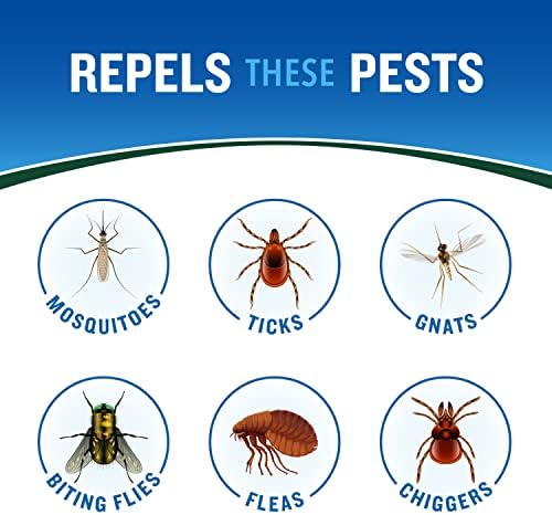 Cutter Backwoods High DEET Insect Repellent, Mosquito Repellent, 40% DEET, 11 Ounce (Pack of 8) (Aerosol Spray)