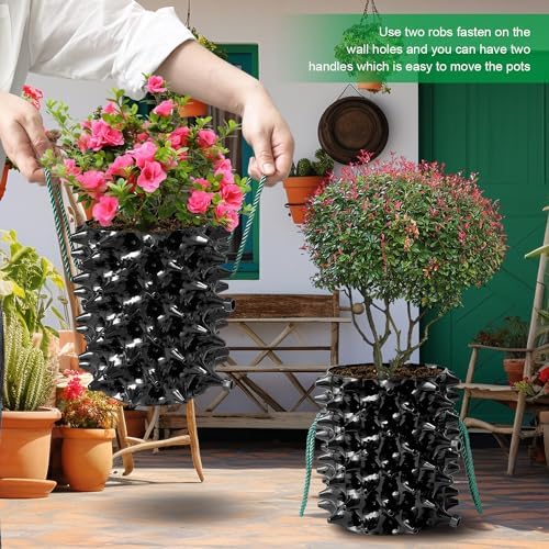 RooTrimmer 1 Gallon Air Pruning Containers, New Plastic Nursery Pots, Fruit Vegetable Garden Self-Planting Pots, Black (1G-10P)