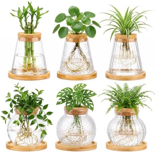 Honeydak 6 Pcs Plants Propagation Stations Planter Terrariums with Wooden Lid and Bamboo Stand Hammered Glass Propagation Vases for Plant Growing Hydroponic Home Office Tabletop Decoration