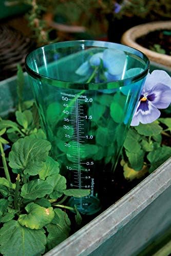 Tildenet Rain Gauge