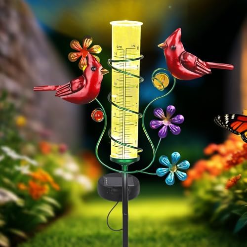 Rain Gauges Outdoors Best Rated, Cardinal Rain Measure Gauge