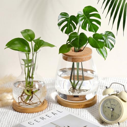 Honeydak 8 Pcs Plants Propagation Stations Desktop Glass Propagation Vases