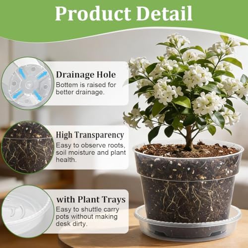 RooTrimmer 15 Pack 8/7/6 Inch Clear Nursery Pots with Saucer, Transparent Plastic Plant Pot with Drainage Hole, Sturdy Planting Starter Pots for Gardening Flower Herb Vegetable