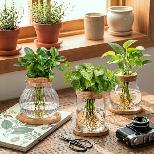 Honeydak 12 Pcs Plants Propagation Stations Desktop Glass Propagation Vases