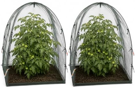 NuVue Products 25203 Pop-Up Garden Netting Animal and Bug Guard Covers with Ground Spikes, Mesh Plant Cover Tents for Pest and Animal Control, Pack of 2, Green, 36" x 36" x 38"