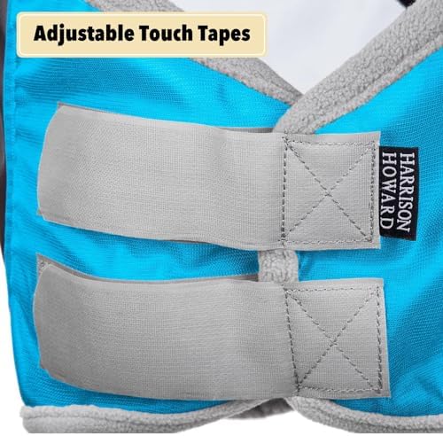 Harrison Howard Pro Luminous Horse Fly Mask Long Nose with Ears UV Protection for Horse Azure Blue/Silver Small Pony