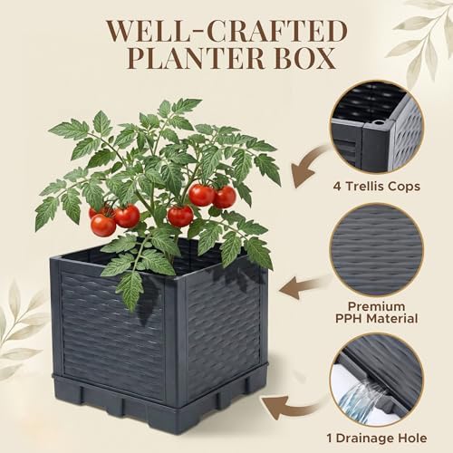 2 Pack 56" Self Watering Tomato Planter with Trellis - Indoor & Outdoor