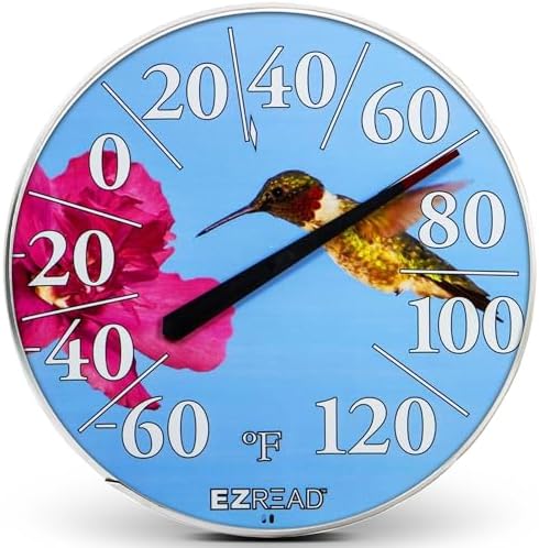 Headwind Consumer Products EZREAD Hanging Dial Thermometer - Weather Thermometers for Indoor and Outdoor Use, Large 12.5 Inch Diameter, Easy-to-Read Numbers, Hummingbird