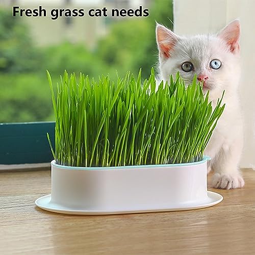 3Pcs Cat Grass Planter Set,Hydroponic Cat-Grasss-Box,Cat Grasss Growing Kits Nursery Plant Planting Box-for Indoor Cats Soilless Nursery-Box-Pet-Grass Pot,Only Planter Pot