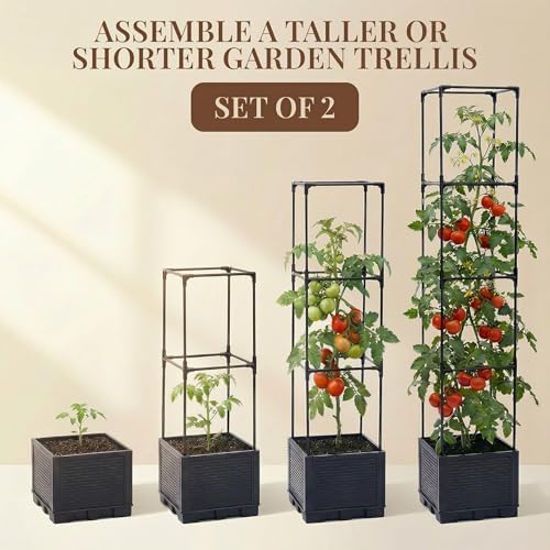 2 Pack 56" Self Watering Tomato Planter with Trellis - Indoor & Outdoor