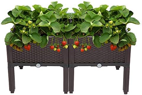 VINGLI Square Raised Garden Bed, Self-Watering Plastic Planter for Indoor Outdoor Vegetables, Fruits, Potato, Flowers, All Weather (2 Pcs)
