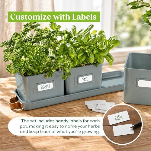 volila Herb Planter Indoor - Set of 3 Teal Blue Indoor Herb Garden Pots for Plants with Leather Handled Tray - Window Sill Plant Shelf - Herb Pots with Drainage Holes and Labels