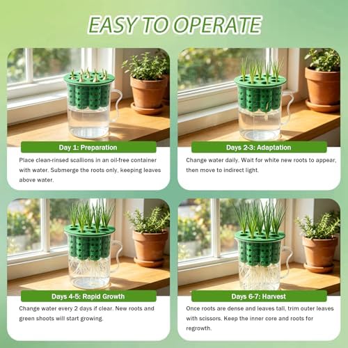 2Set Green Onion Planter Scallion Regrower Seed Sprouting Kit