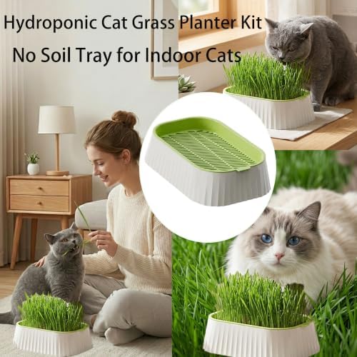 Organic Cat Grass Planter Indoor Hydroponic Wheatgrass Seed Sprout Tray