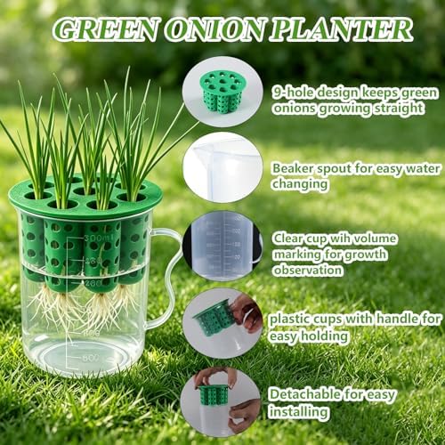 2Set Green Onion Planter Scallion Regrower Seed Sprouting Kit