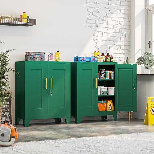 Small Metal Storage Cabinet, Lockable Tool Cabinet with Doors and 2 Shelves