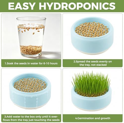 Hydroponic Cat Grass Planter, Plastic Catnip Cat Grass Box 5.31"x2.56", Soil-Free Anti-Digging Planting Trays, Wheatgrass Growing Pot for Indoor Cats Pets (Blue)