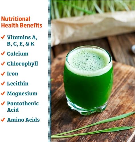 Back to the Roots 100% Organic Wheatgrass Seeds | 1 Pound Non-GMO | Nutrient Dense, Easy to Grow | Cat Grass Planter Seeds