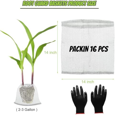 16 Pcs Gopher Baskets 3 Gallon Root Guard Proof Stainless Wire Steel Trap