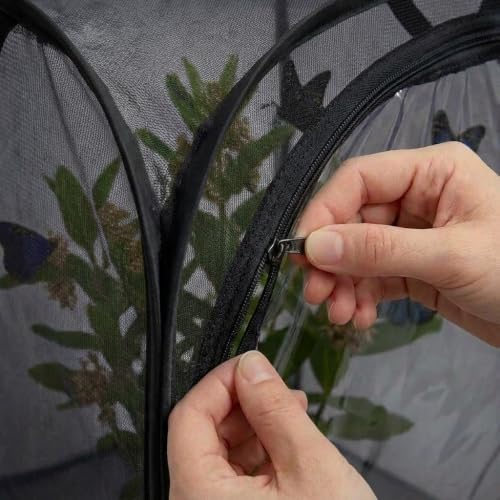 Mesh Plant Protection Enclosure, Portable Collapsible Garden Grow Cage with Mesh Barrier, Pest & Bird Proof Plant Cover for Vegetables, Fruits, Outdoor Patio Balcony Use, 36 Inches Tall