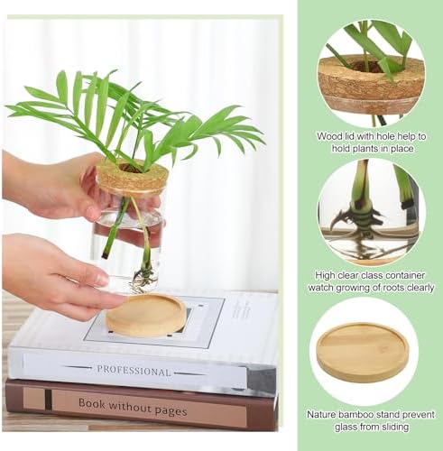 Honeydak 6 Pcs Plants Propagation Stations Desktop Glass Propagation Vases