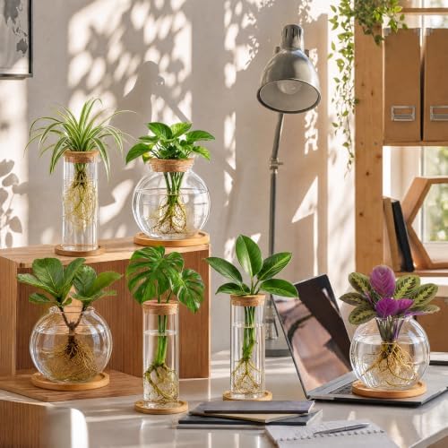 Honeydak 6 Pcs Plants Propagation Stations with Wooden Lid and Bamboo Stand