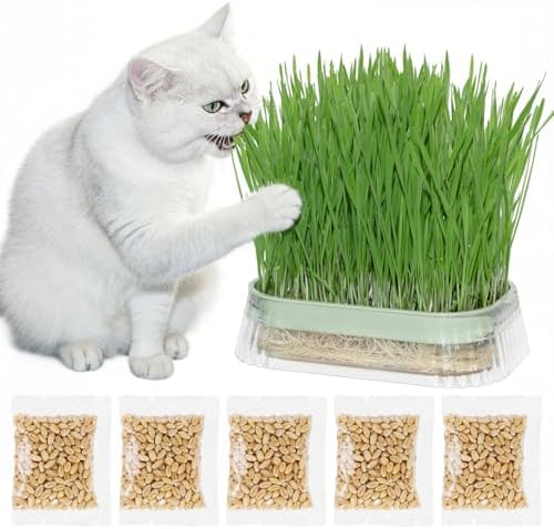 Hydroponic Cat Grass Grow Kit with 5Pack Non GMO Seeds, Organic Grass Growing Kit, Cat Grass for Indoor Cats, Soil-Free Planter, Perfect for Beginners, Ideal Birthday Gift for Cat Lovers