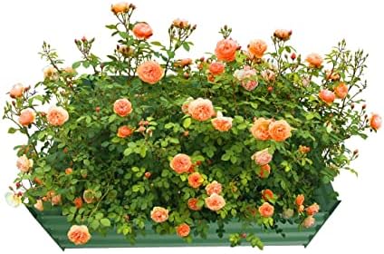 4x4x1ft Green Metal Raised Garden Bed Kit, Galvanized Outdoor Planter Box for Vegetables, Flowers, Herbs, and Succulents,120 Gallon Capacity