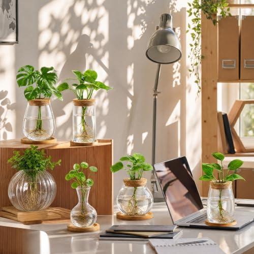Honeydak 6 Pcs Plants Propagation Stations Glass Propagation Ribbed Vases