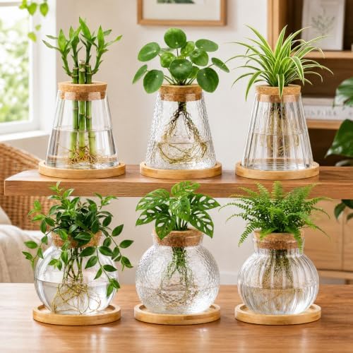 Honeydak 6 Pcs Plants Propagation Stations Planter Terrariums with Wooden Lid and Bamboo Stand Hammered Glass Propagation Vases for Plant Growing Hydroponic Home Office Tabletop Decoration