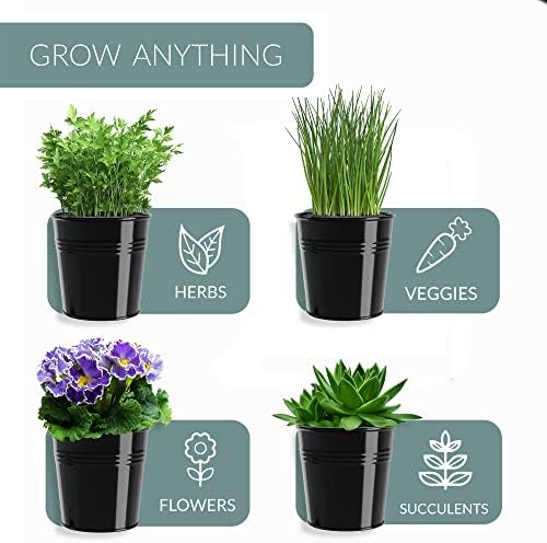 Barnyard Designs Indoor Herb Garden Planter Pots with Tray Set/3 (Black)