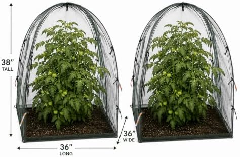 NuVue Products 25203 Pop-Up Garden Netting Animal and Bug Guard Covers with Ground Spikes, Mesh Plant Cover Tents for Pest and Animal Control, Pack of 2, Green, 36" x 36" x 38"