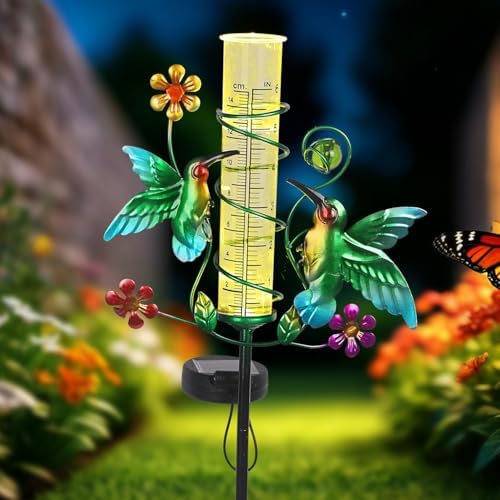 Hummingbird Rain Gauge Outdoor for Measuring Precipitation