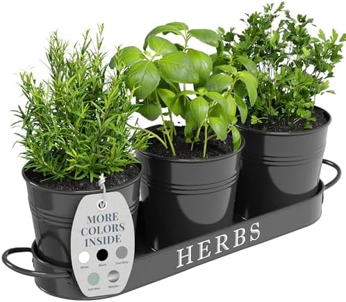 Barnyard Designs Indoor Herb Garden Planter Pots with Tray Set/3 (Black)