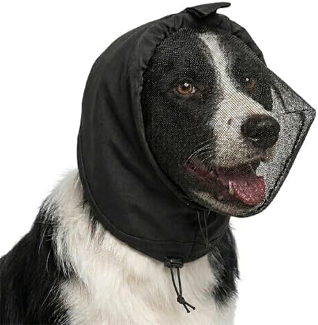 Field Guard for Foxtail Mask Dogs Head Protector, Black, L