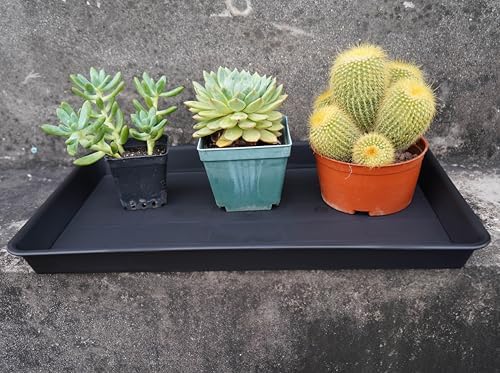 VUWEZ Plant Growing Trays 6 Pack, Plant Tray, 14.5"x11", Heavy Sturdy Plastic Plants Saucer, Seedling Starter Trays, Seed Starter Growing Tray (Black)