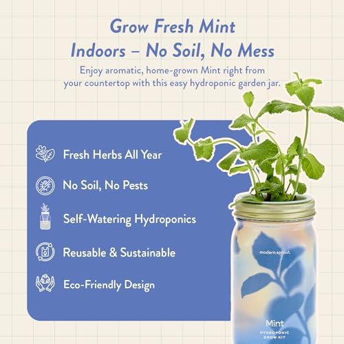 Modern Sprout Mason Garden Jar - Self-Watering Hydroponics Kit - Mint