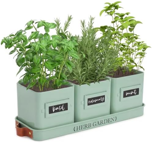 PERFNIQUE Indoor Herb Garden, Herb Planter Set with Tray, Farmhouse Indoor Plant Pots, Windowsill Herb Garden with Drainage(Planter only) for Indoor/Outdoor, Window Pots (Mint)