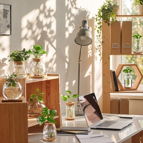 Honeydak 8 Pcs Plants Propagation Stations Desktop Glass Propagation Vases
