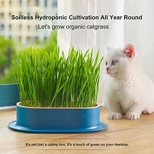 3Pcs Cat Grass Planter (No Seeds Included) Wheatgrass Planting Trays Hydroponic Cat Grass Growing Kits for Indoor Cats Soilless Organic Nursery Box Pet Grass Pot (J)