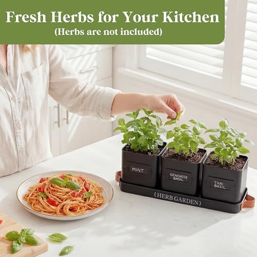 PERFNIQUE Indoor Herb Garden, Herb Planter Set with Tray, Farmhouse Indoor Plant Pots, Windowsill Herb Garden with Drainage(Planter only) for Indoor/Outdoor, Window Pots(Matte Black)