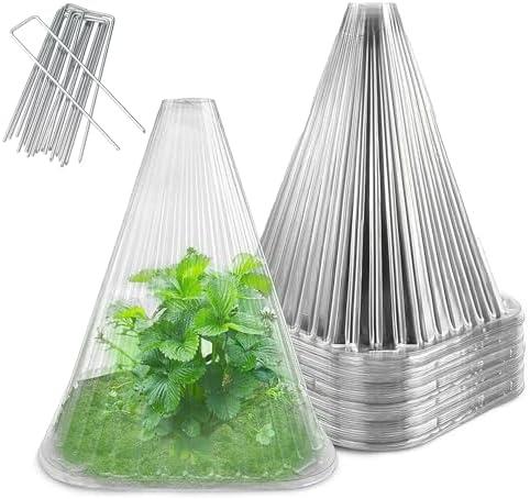 Garden Cloches for Plants - Reusable Clear Plant Protectors, PET Plant Bell CoverFrost & Pest Protection for Vegetables, Seedlings, Outdoor Gardens (Transparent,20)