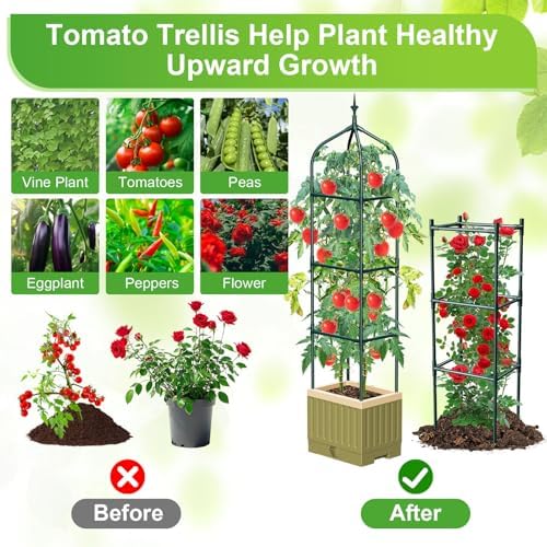 Raised Garden Bed Planter Box with Trellis, 71" Self-Watering Tomato Planter with Trellis for Climbing Vegetable and Plants, Tomato Cage Planters for Indoor Outdoor Patio Greenhouse Gardening (1Pack)