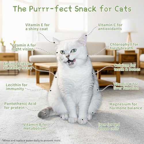Cat Grass for Indoor Cats with 5Pack Non GMO Seeds, Organic Grass Growing Kit, Soil-Free Planter, Perfect for Beginners, Ideal Birthday Gift for Cat Lovers